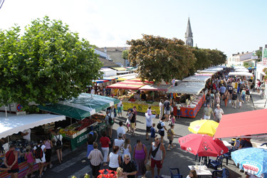 les marches de l'ile d'oleron